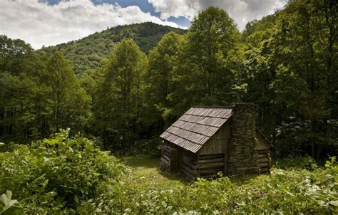 Caudill Cabin brings generations of descendant together