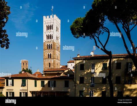 Lucca cathedral tower from the city walls, Lucca, Italy Stock Photo - Alamy