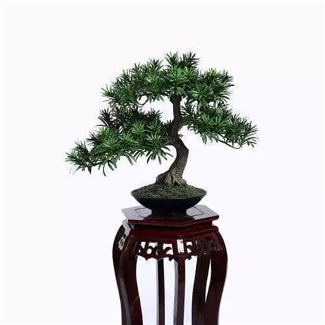 Artificial Potted Pine Trees Manufacturer In China Sharetrade