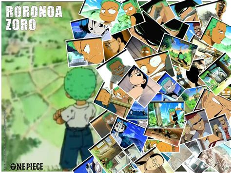 Zoro Roronoa Zoro Wallpaper 21911340 Fanpop
