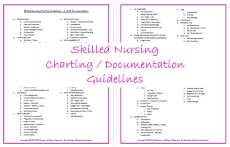 Skilled Nursing Charting Guidelines Etsy