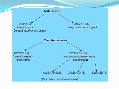 Бактериялардың қоректенуі, тыныс алуы. Анаэроб. Аэроб - презентация онлайн
