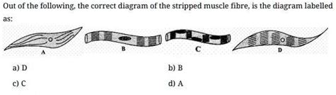 Solved Out Of The Following The Correct Diagram Of The Stripped