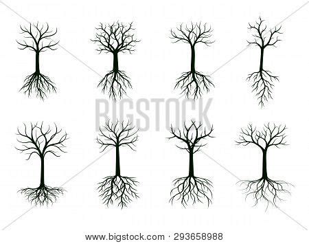 Set Black Naked Trees Vector Photo Free Trial Bigstock