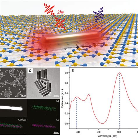 Optical Characterization Of Plasmon Enhanced G C N A The Bright