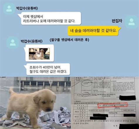 동물학대 논란 ‘갑수목장 유튜버들 수의사 될 수 있을까 한국일보