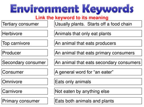 Feeding Relationships Aqa Biology 2016 Teaching Resources