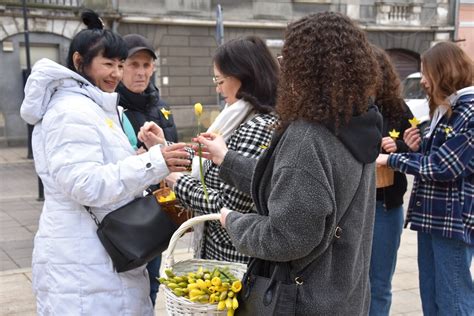 Tarnów Żonkile rozdawane na ulicach Tarnowa przypomniały o 79