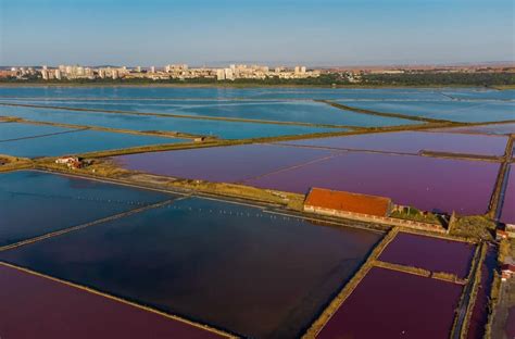 Atanasovsko Lake – a story of restoration and successful partnership ...