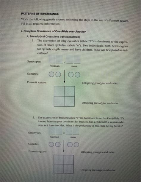 Solved PATTERNS OF INHERITANCE Work The Following Genetic Chegg