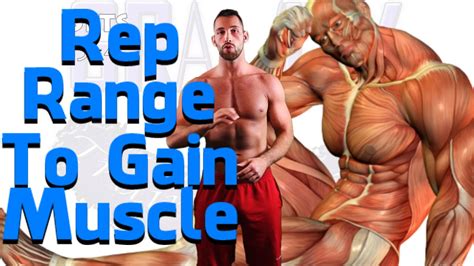 How Many Sets And Reps To Build Muscle For Size Mass Strength Youtube