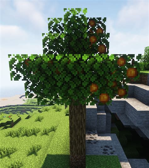 Apricot | Croptopia Wiki | Fandom