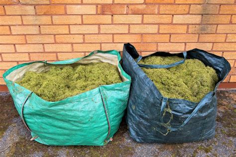 Properly Compost Your Grass Clippings Into Free Fertilizer Happysprout