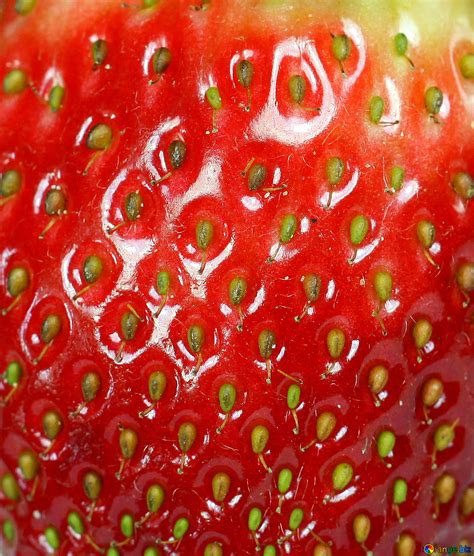 Strawberry Texture