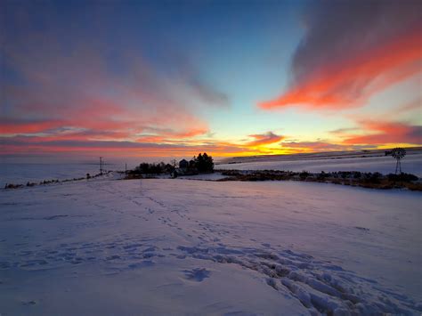 Across Snow-Covered Fields — Farm Fresh Wheat | White Wheat Berries for Home Milling