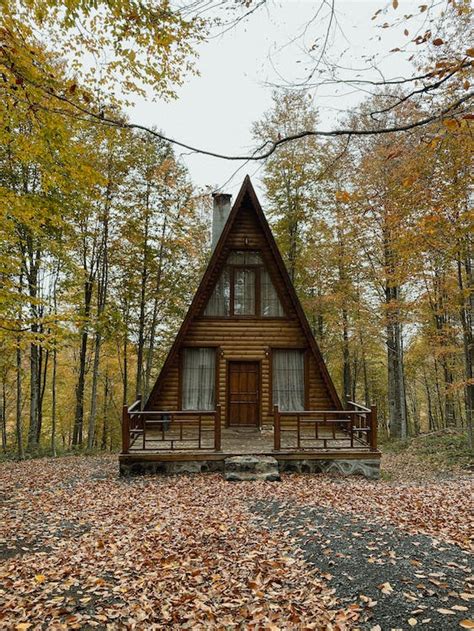 Cabin in Forest in Autumn · Free Stock Photo