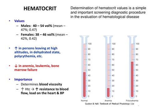 Ppt Blood Composition Functions Rbc Powerpoint Presentation