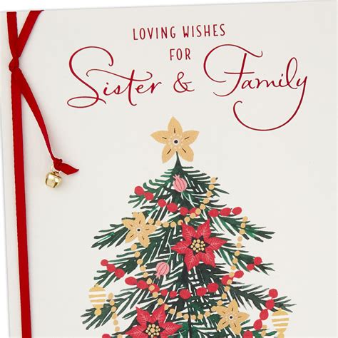 Warm and Merry Christmas Card for Sister and Family - Greeting Cards - Hallmark