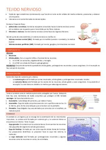 Tejido Nervioso Pdf