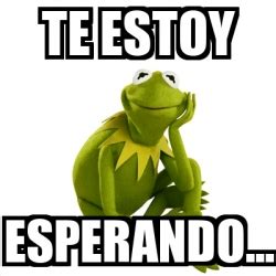 Meme Kermit The Frog Te Estoy Esperando