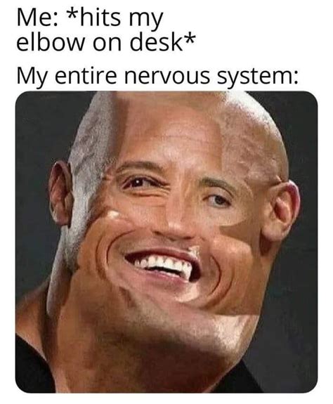 Entire Nervous System Rmemes