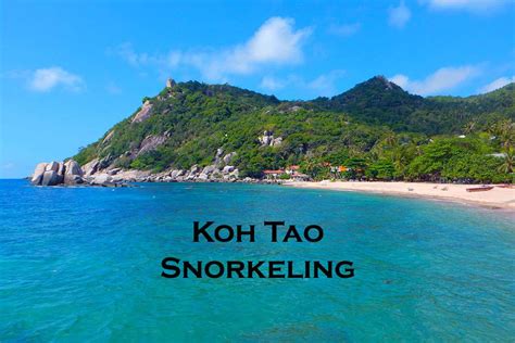 Koh Tao Snorkeling Thailand: Best Spots, Tips and Tours