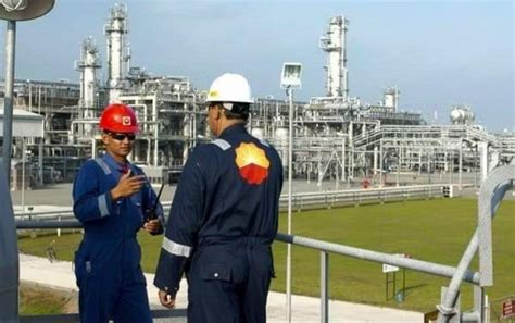 PetroChina Memulai Program Pengeboran Di 11 Sumur Wilayah Kerja Jabung