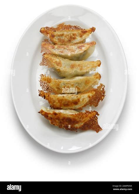 Yaki Gyoza Pot Stickers Japanese Style Pan Fried Dumplings Stock