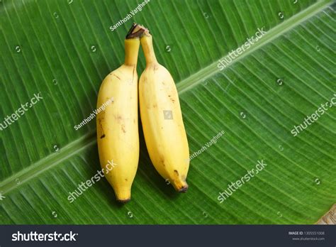 467 Banana Plantations In Kerala Images Stock Photos And Vectors