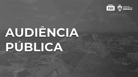 Audi Ncia Publica Externa Da Comiss O De Prote O Civil De De Maio