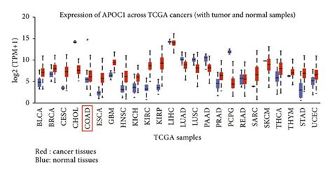 Expression Of APOC1 In CRC Tissues A The Expression Level Of APOC1