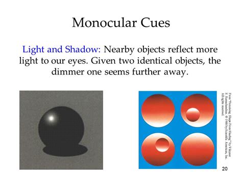 Light And Shadow Psychology Definition