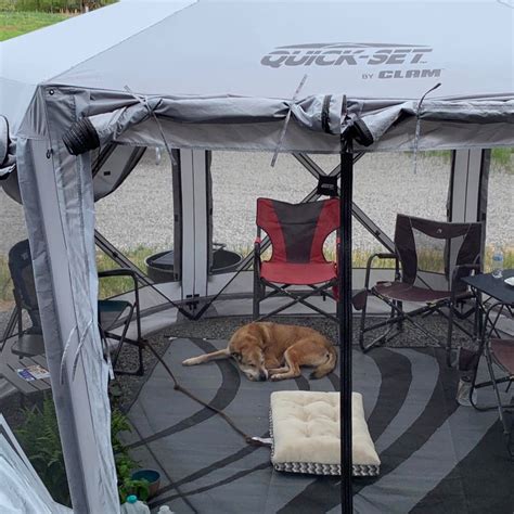 Clam Quick Set Screen Tent Why You Need One And Which To Buy