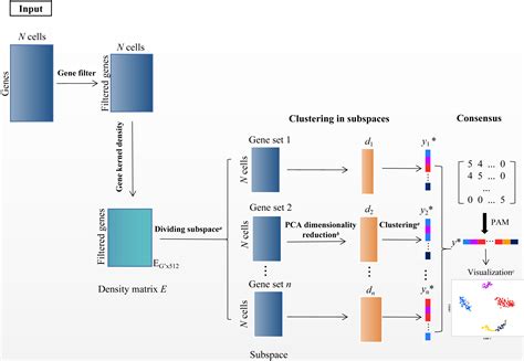 A Clustering Method For Small Scrna Seq Data Based On Subspace And Weighted Distance Peerj