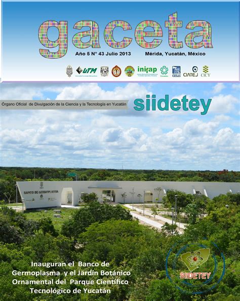 Gaceta By Siidetey Issuu