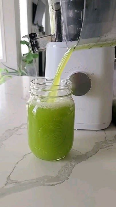 Cucumber Juice Is Hydrating And Anti Inflammatory Drink Juicing Juicerecipe Immunity Youtube