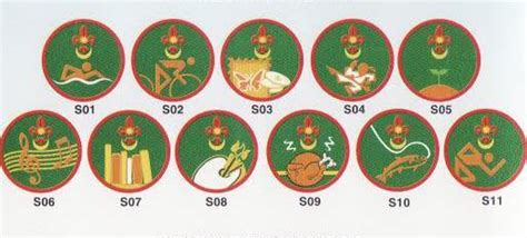 Badge - Scout Of Malaysia