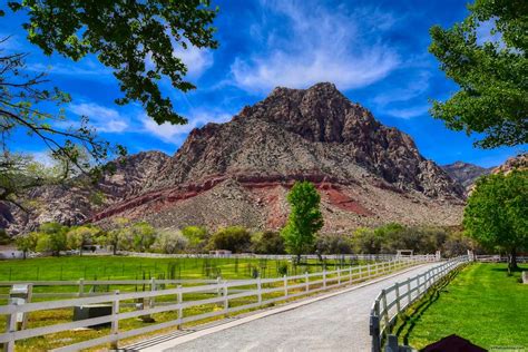 At Spring Mountain Ranch State Park Las Vegas Photoblog