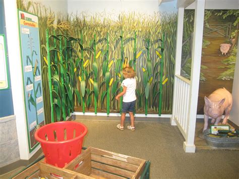 After One Crazy Summer...: Hands-on House Children's Museum - Lancaster, PA