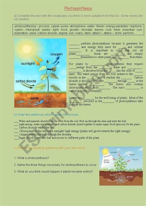 Photosynthesis Esl Worksheet By Nbcnas