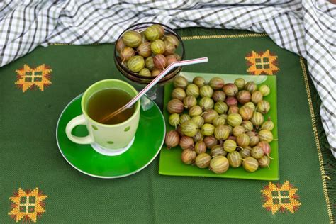 Домашний компот из крыжовника – простой и вкусный рецепт, как ...