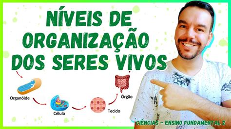 Níveis de organização dos seres vivos Ciências Biologia 6º ano