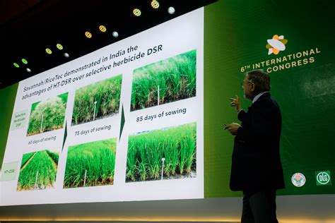 Pioneering Technologies Driving The Transition Towards Sustainable Rice