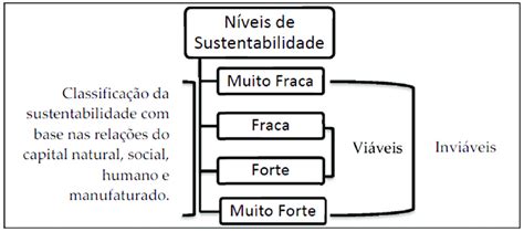 Classificação E Características Dos Níveis De Sustentabilidade