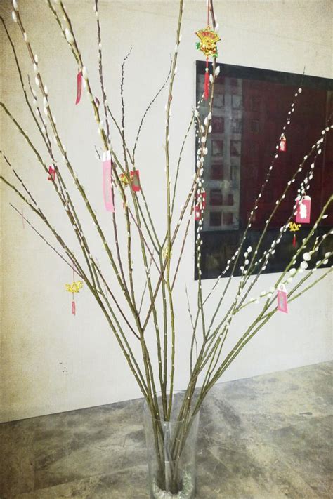 More on Chinese New Year the pussy willow tree ma vie trouvée