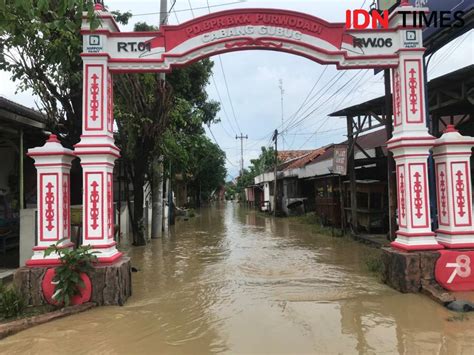 Banjir Grobogan Tanggul Sungai Tuntang Yang Jebol