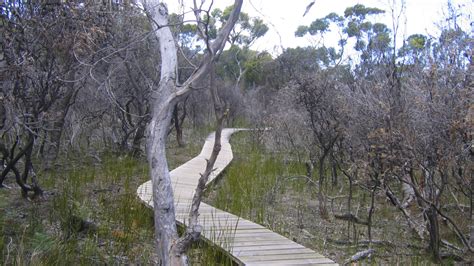 Wineglass Bay And Hazards Beach Circuit