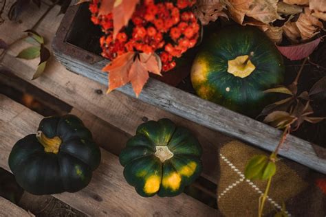 Decoraci N Org Nica De Oto O Cosecha De Verduras Frescas Y Hojas En Una