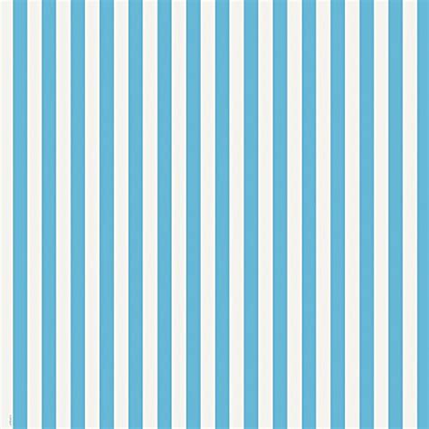 Light Blue Striped Wrapping Paper | Healthy Products Mart