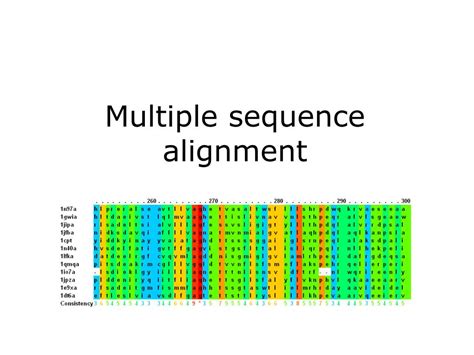 Ppt Month Practical Course Genome Analysis Lecture Multiple